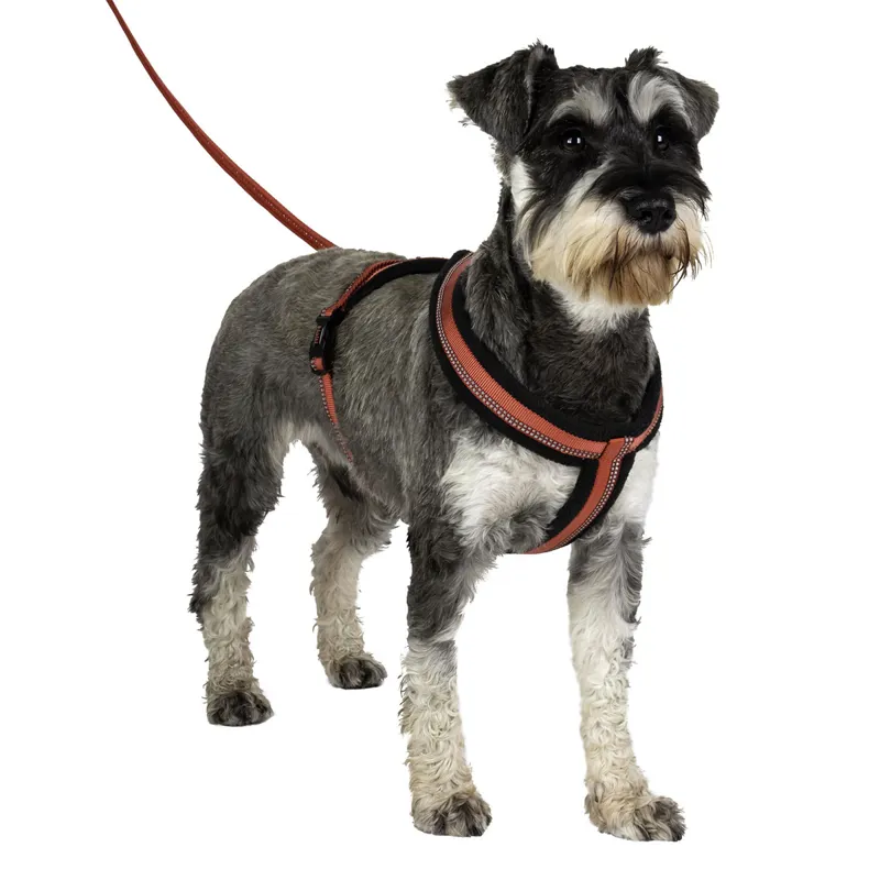 Halti Comfy Harness - Red